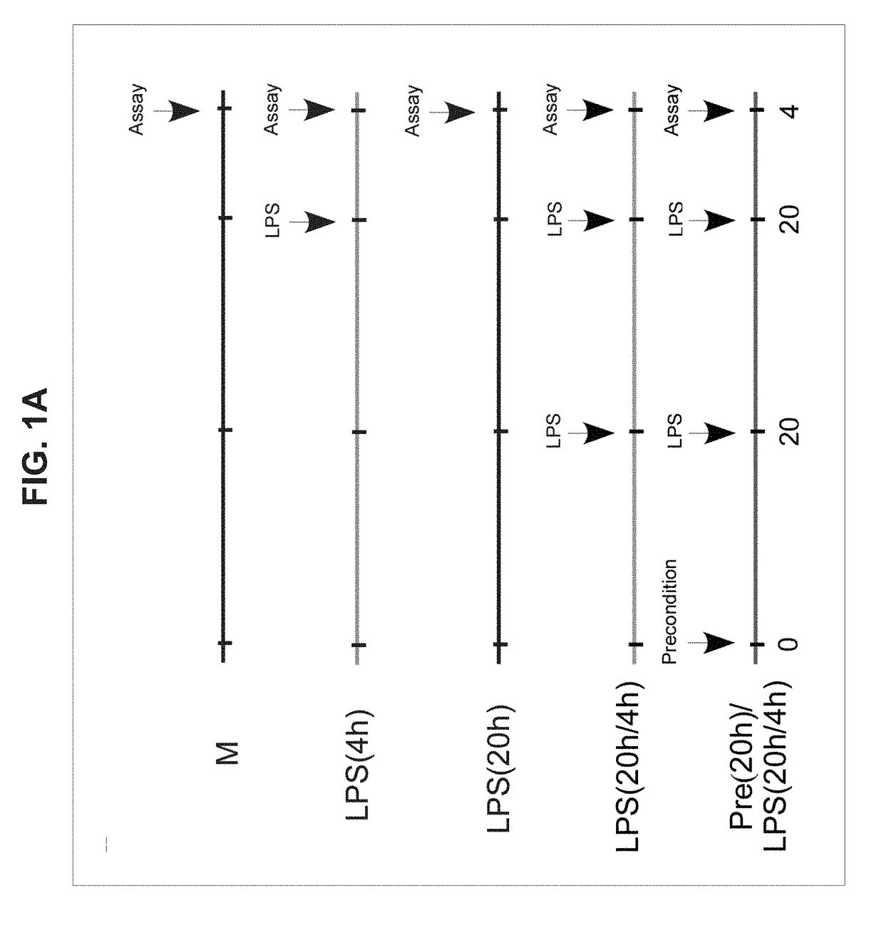 Treatment of CNS inflammatory disorders