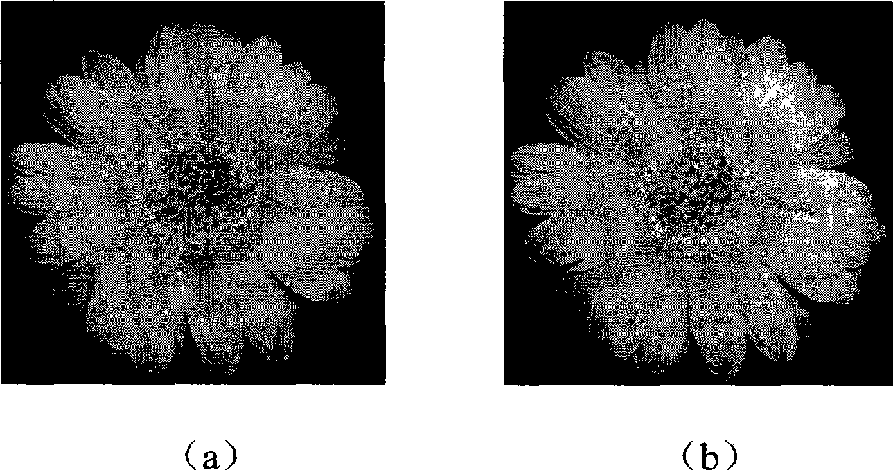 Digital image watermark imbedding method based on DCT algorithm