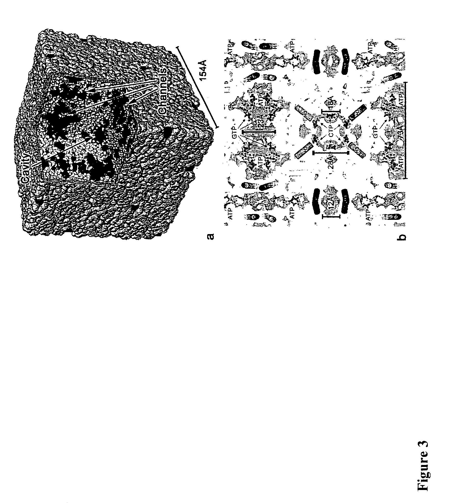 Viral polyhedra complexes and methods of use