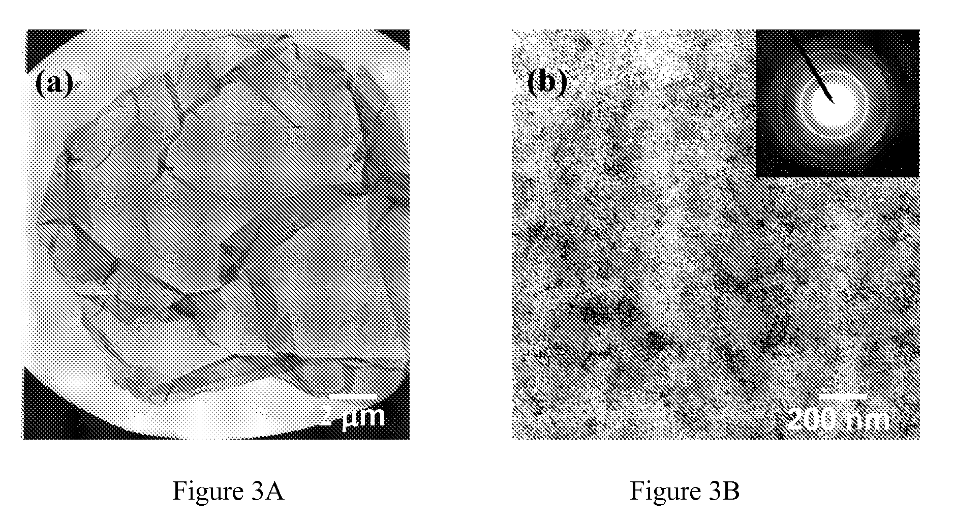 Substituted pyridine ligands and related water-soluble catalysts