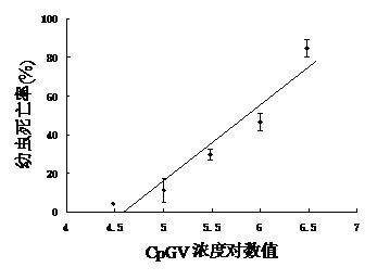 Anti-Cydia pomonella biological pesticide and preparation method thereof