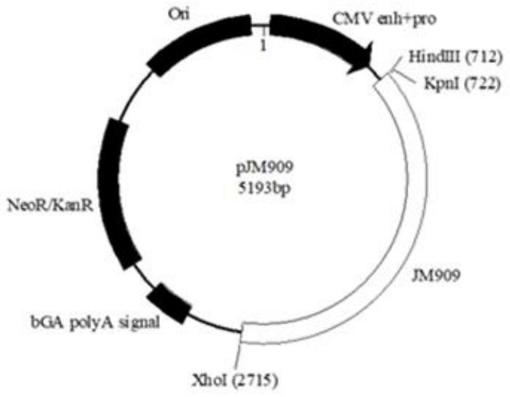 Preparation method of viral vaccine, and pharmaceutical composition