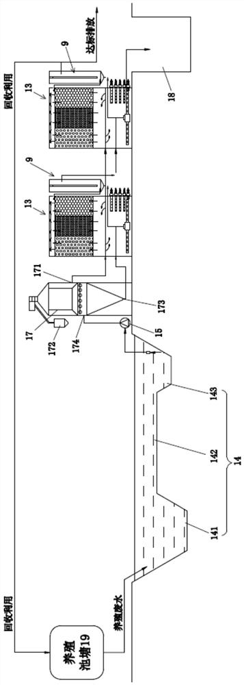 Culture wastewater purification treatment system and process