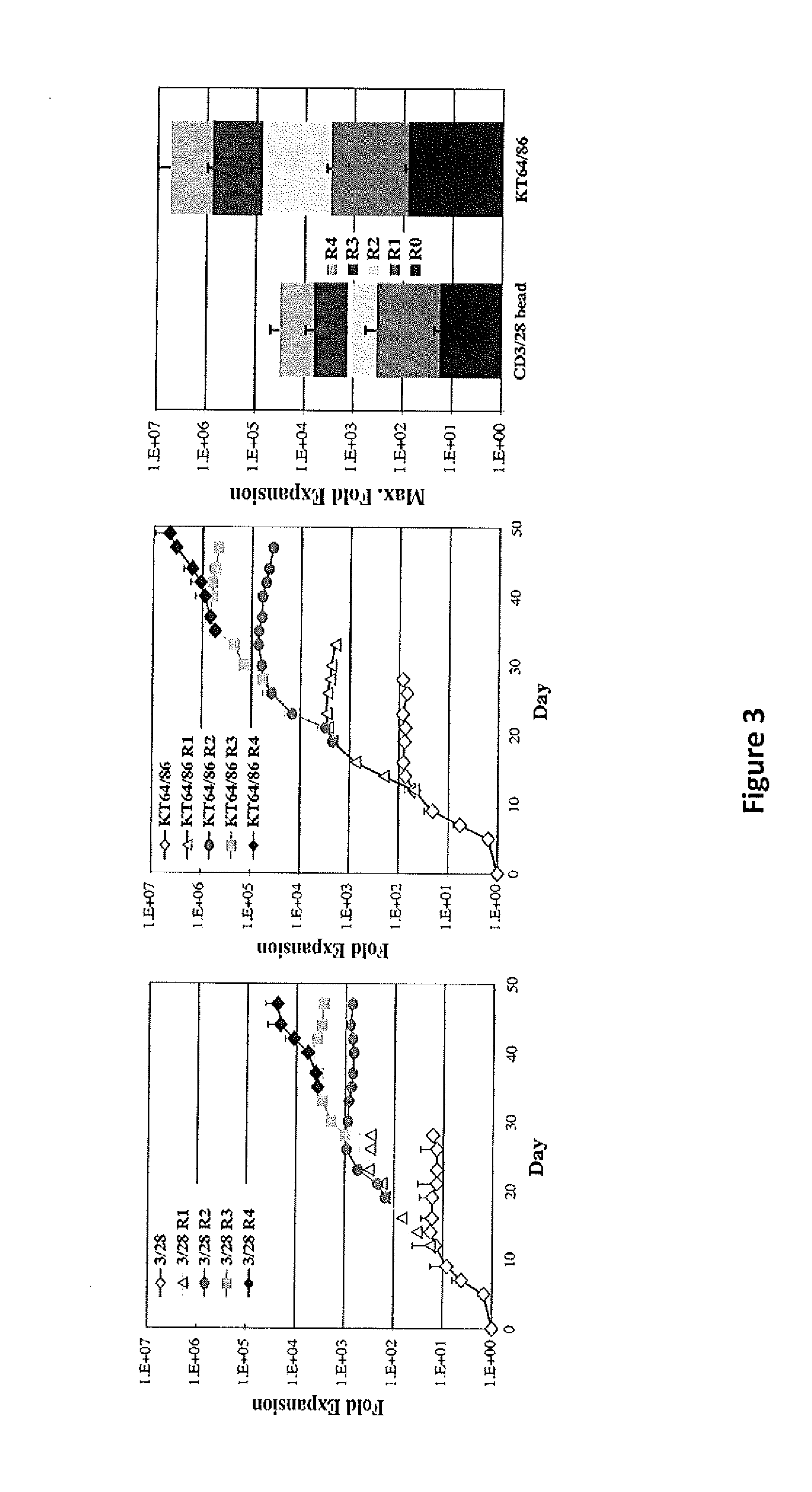 Methods to Expand a T Regulatory Cell Master Cell Bank