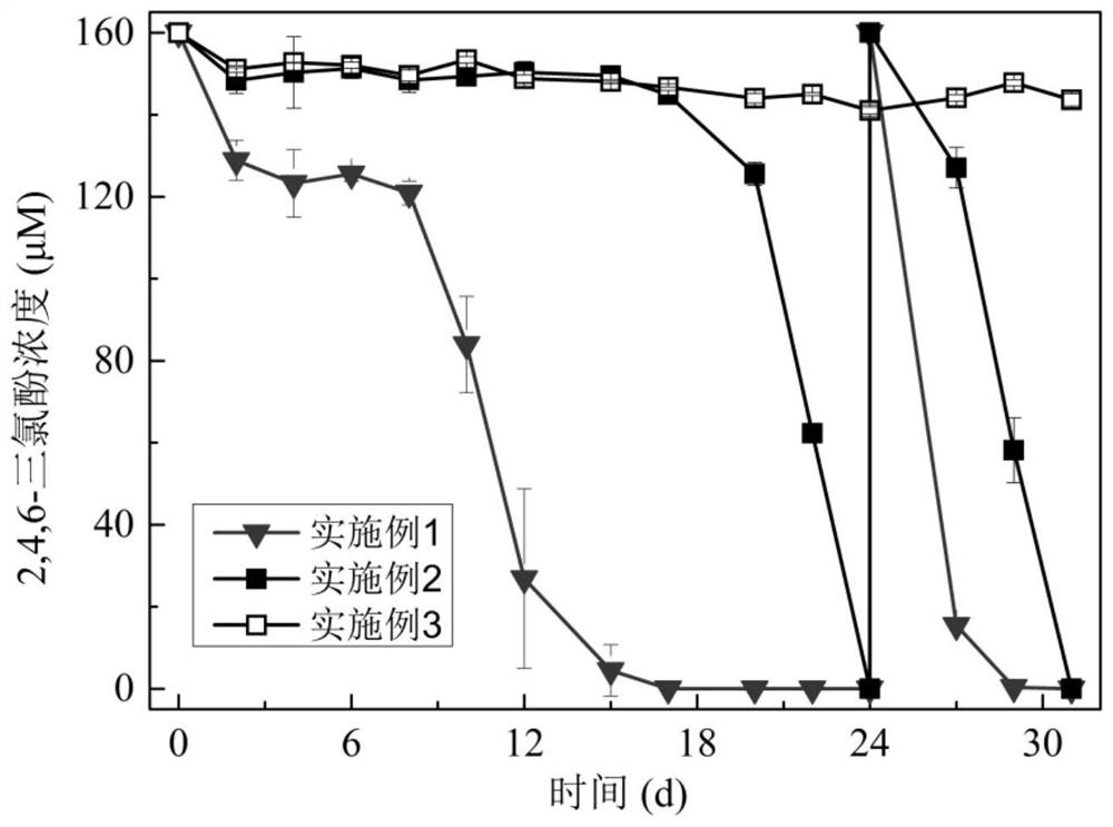 Bioelectrochemical device for synchronously degrading chlorophenol in water phase by cathode and anode