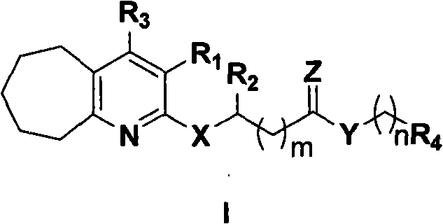 Cycloheptapyridine compounds, preparation method thereof, use and pharmaceutical compositions containing the compounds