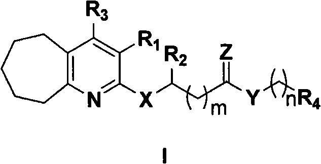 Cycloheptapyridine compounds, preparation method thereof, use and pharmaceutical compositions containing the compounds
