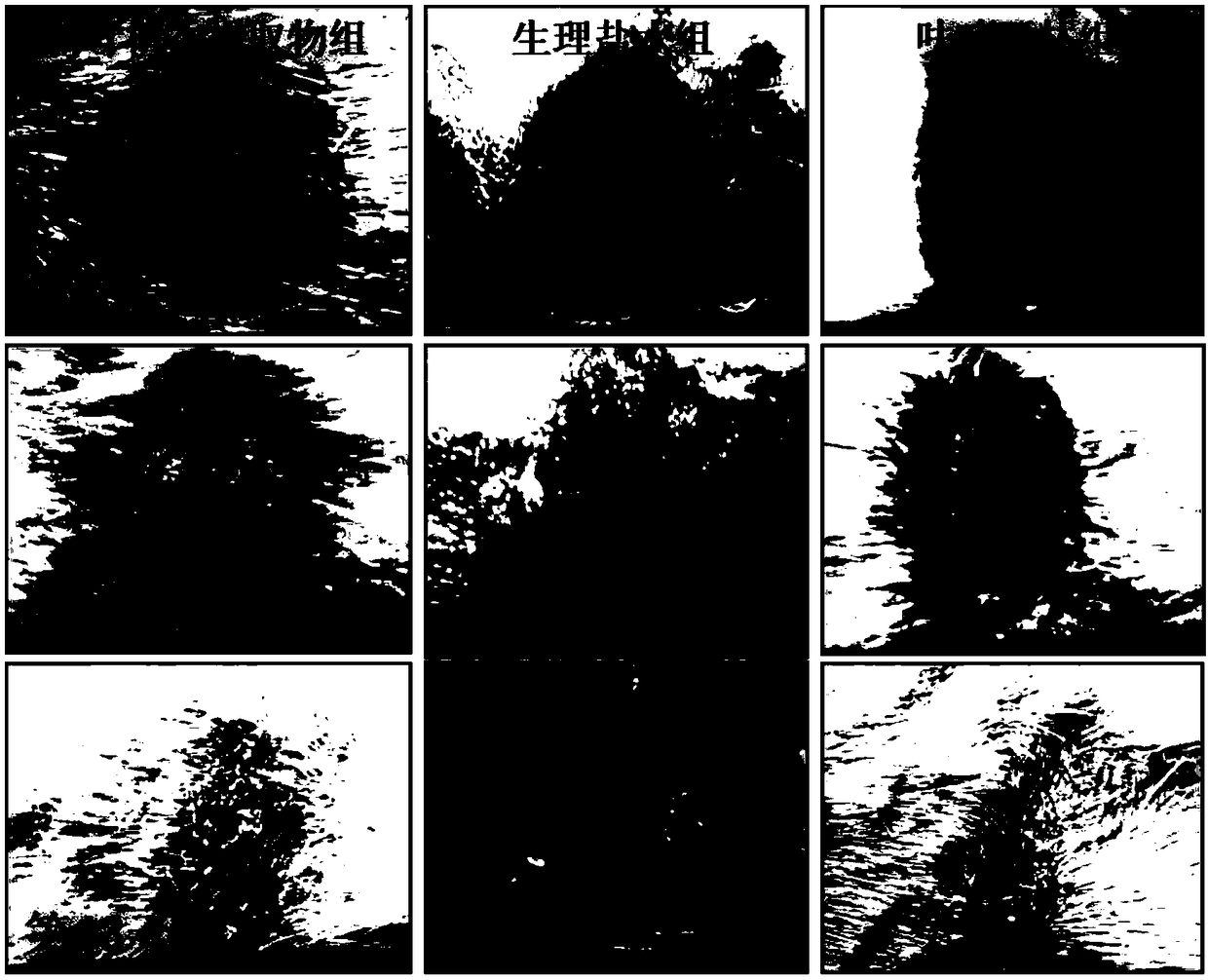 Application of extract of dalbergia pinnata in preparing drug for healing skin wound