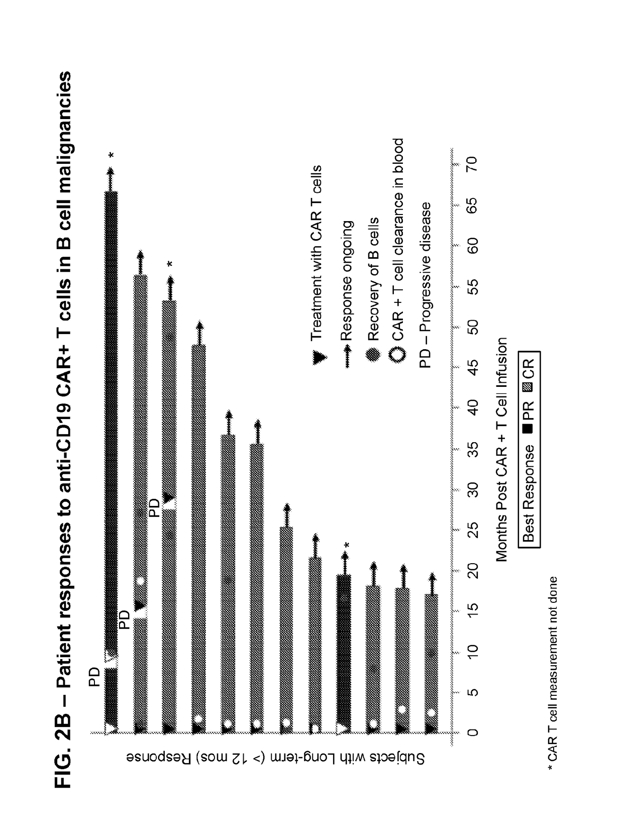 Diagnostic methods for t cell therapy