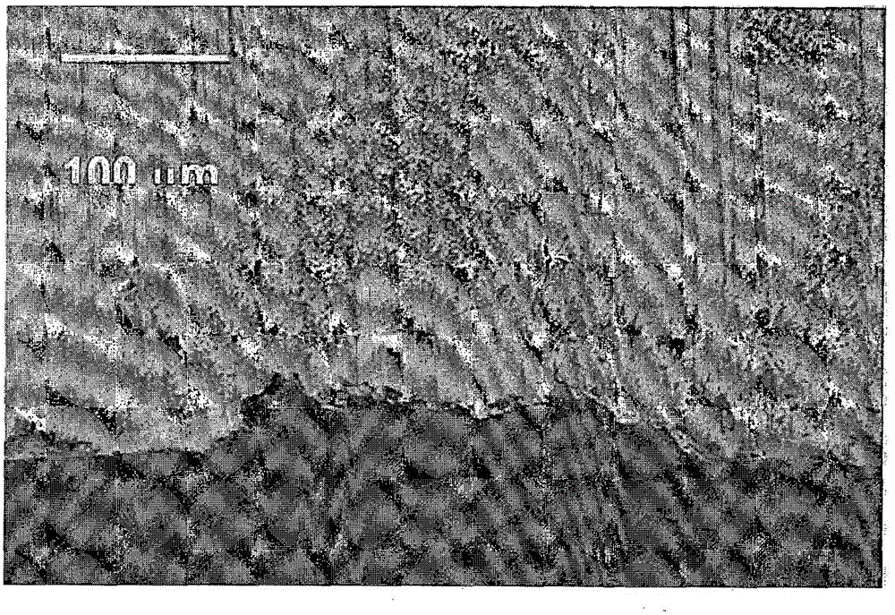 Martensitic stainless steel and method for manufacturing same