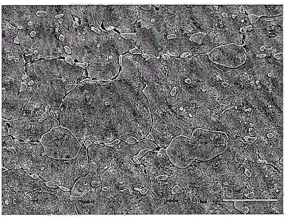 Martensitic stainless steel and method for manufacturing same