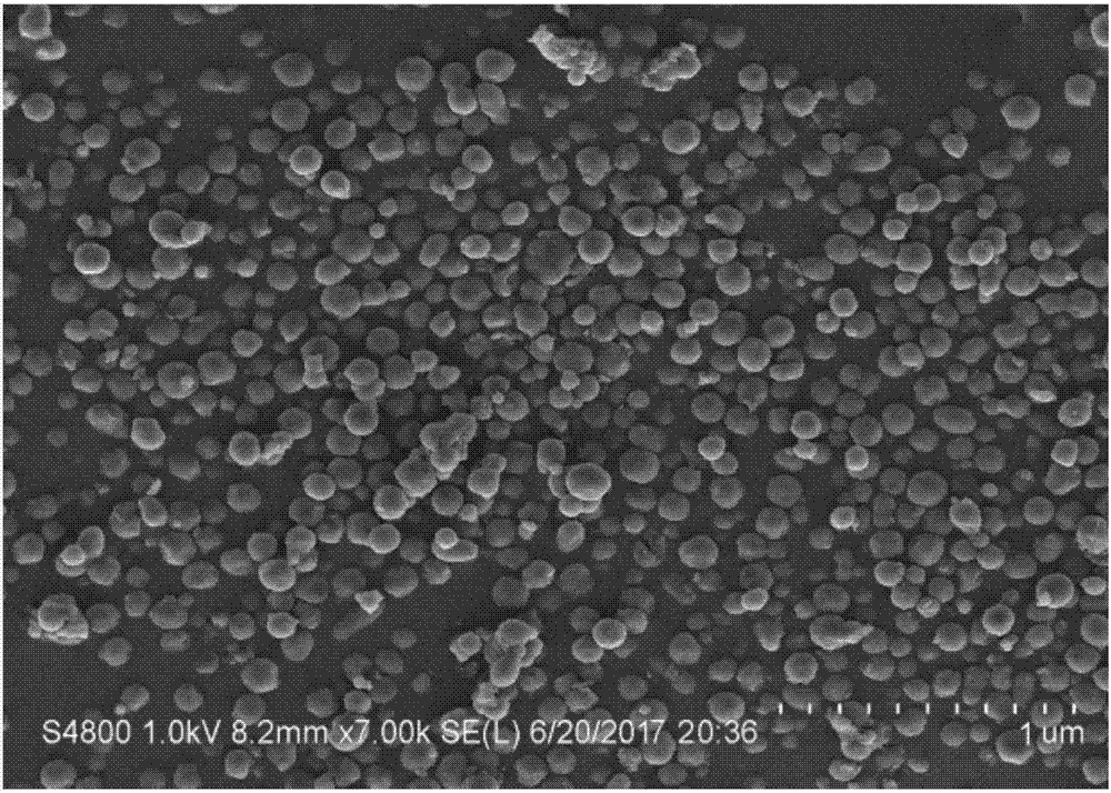 Nano-microcapsule with blumea balsamifera essential oil as well as preparation method and application of nano-microcapsule