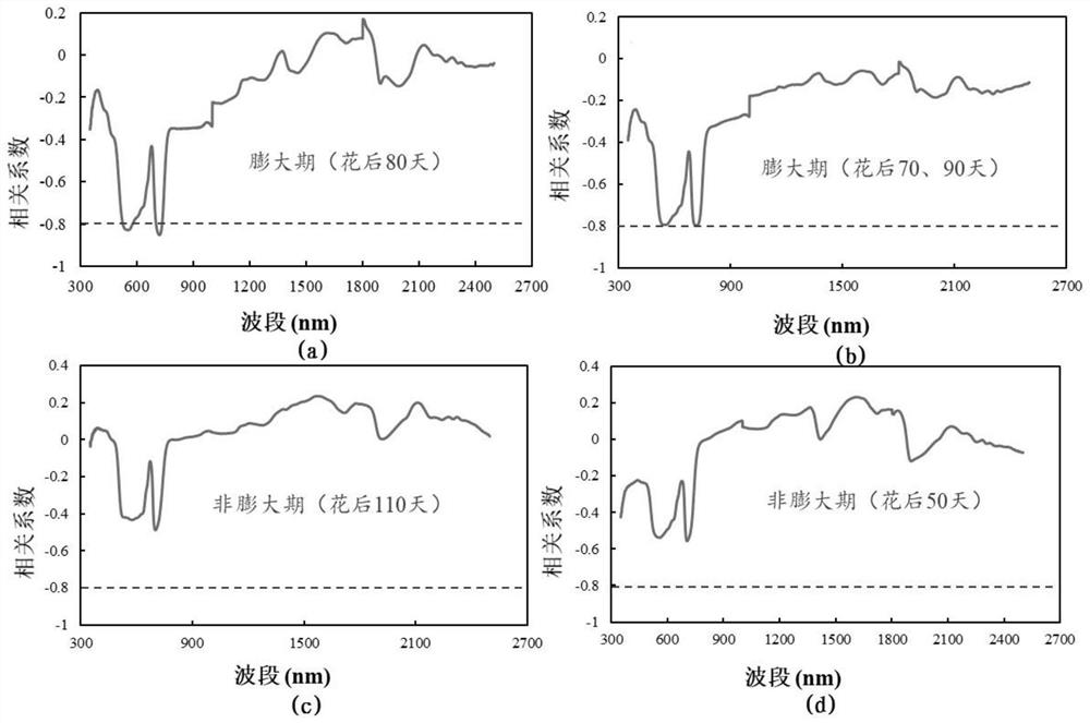 Method and system for determining nitrogen content of tree leaves in fruit expansion period