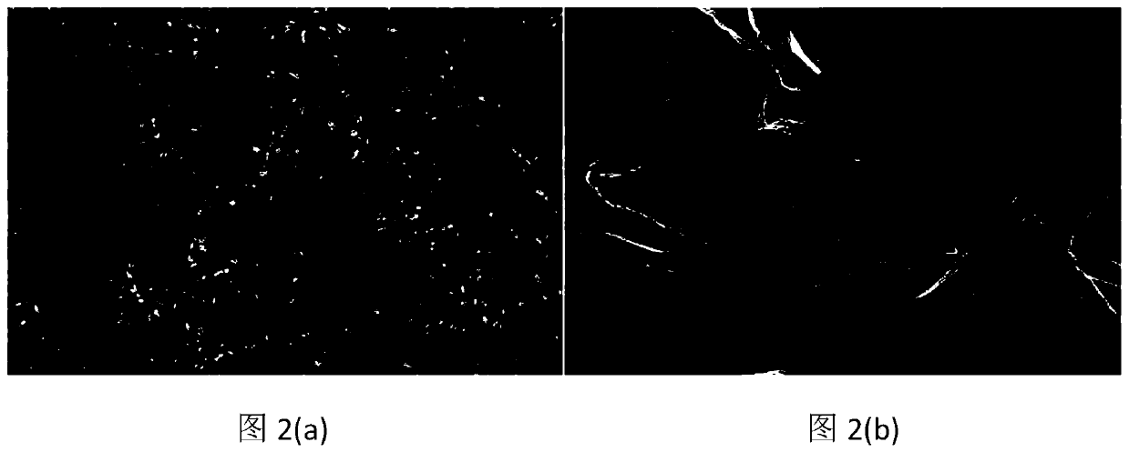 A method for improving the performance of lithium negative electrode