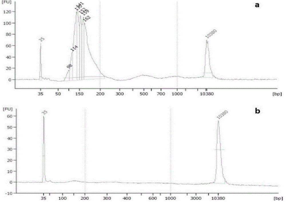 DNA database establishing method for high-throughput sequencing