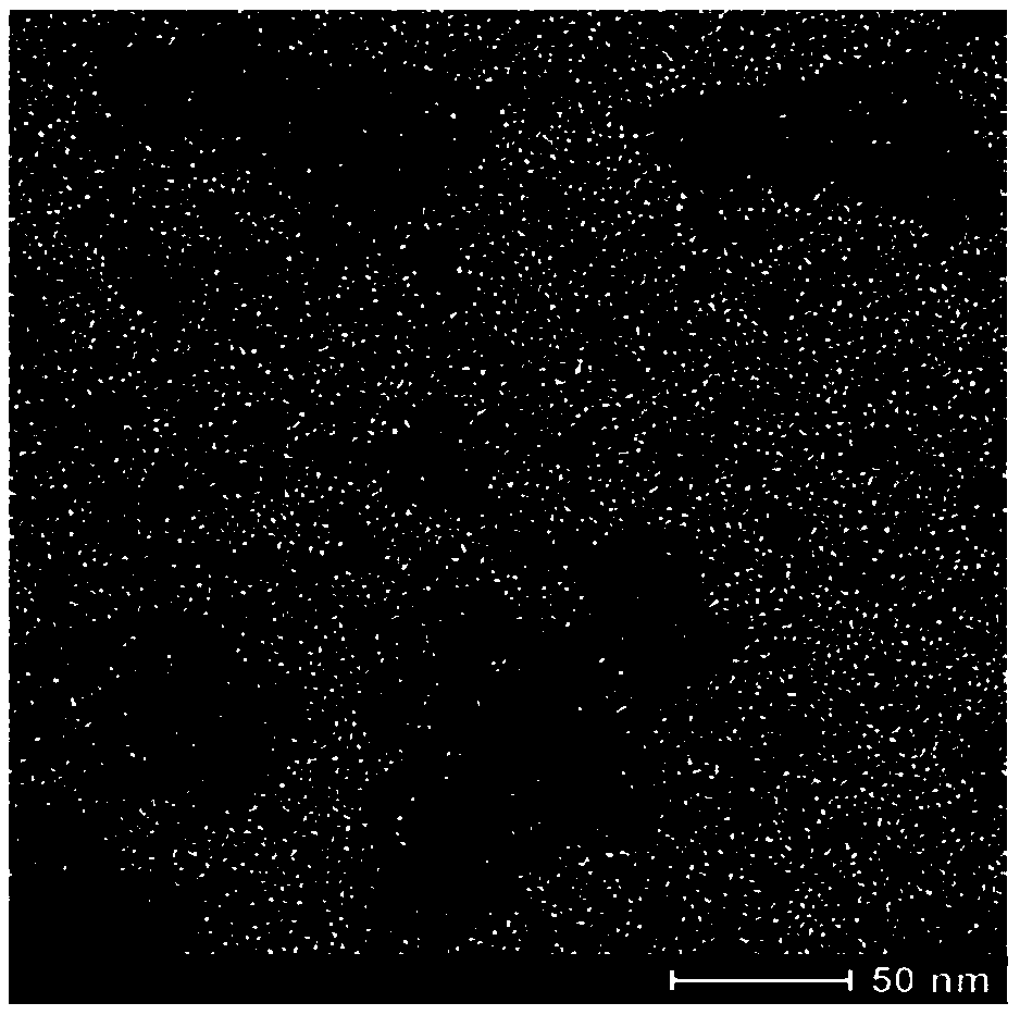 Construction method of fusarium graminearum single-stranded circular DNA (Deoxyribonucleic Acid) virus FgGMTV1/HB58 infectious cloning