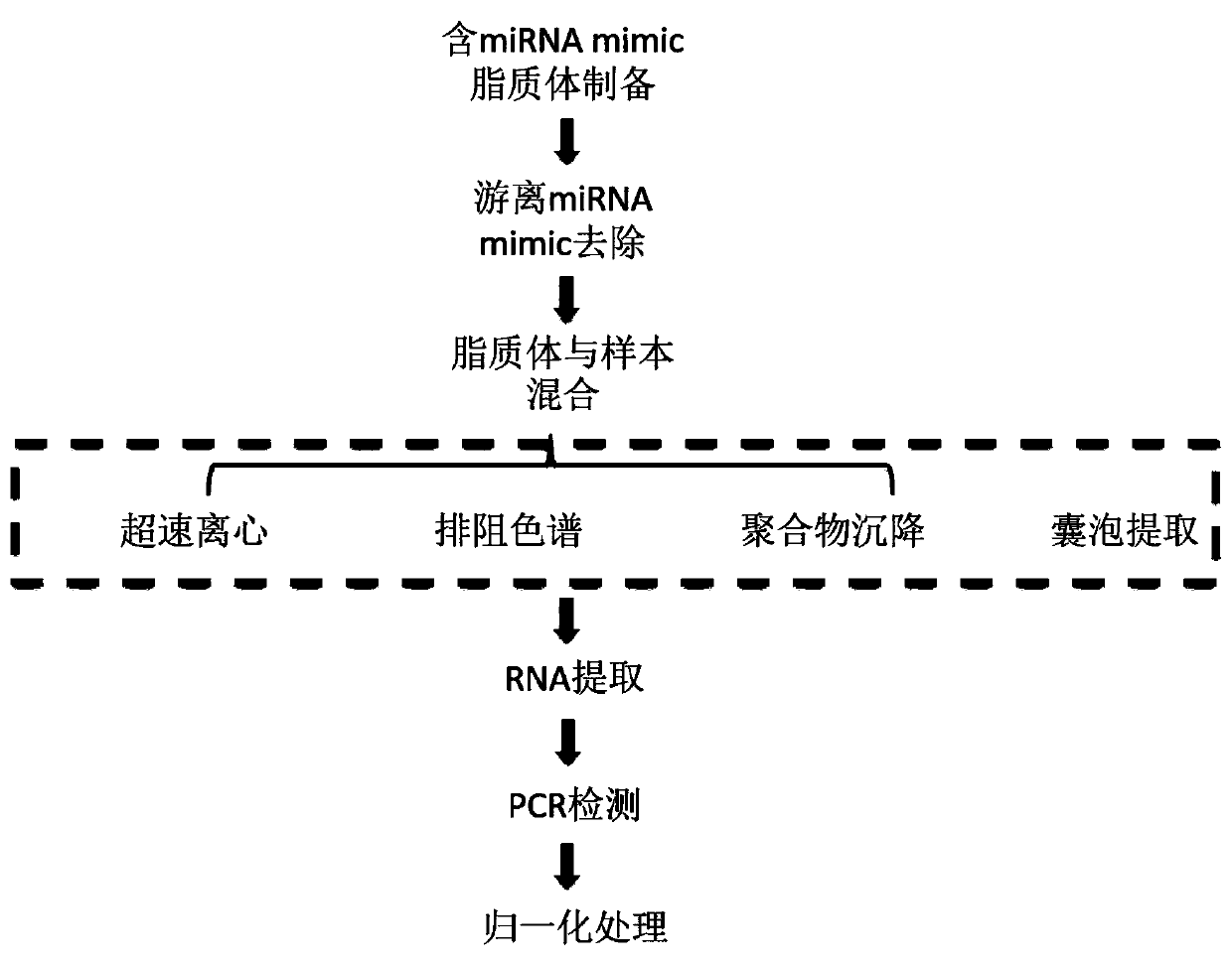Artificial liposome containing miRNA mimic and its preparation method and application