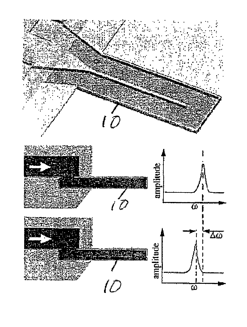 Method and apparatus for measuring particle characteristics through mass detection