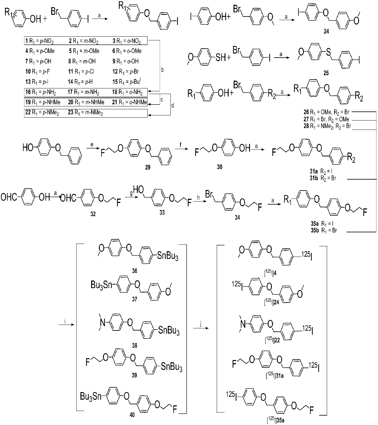 Hydroxyphenyl benzyl ether derivative as well as preparation method and application thereof