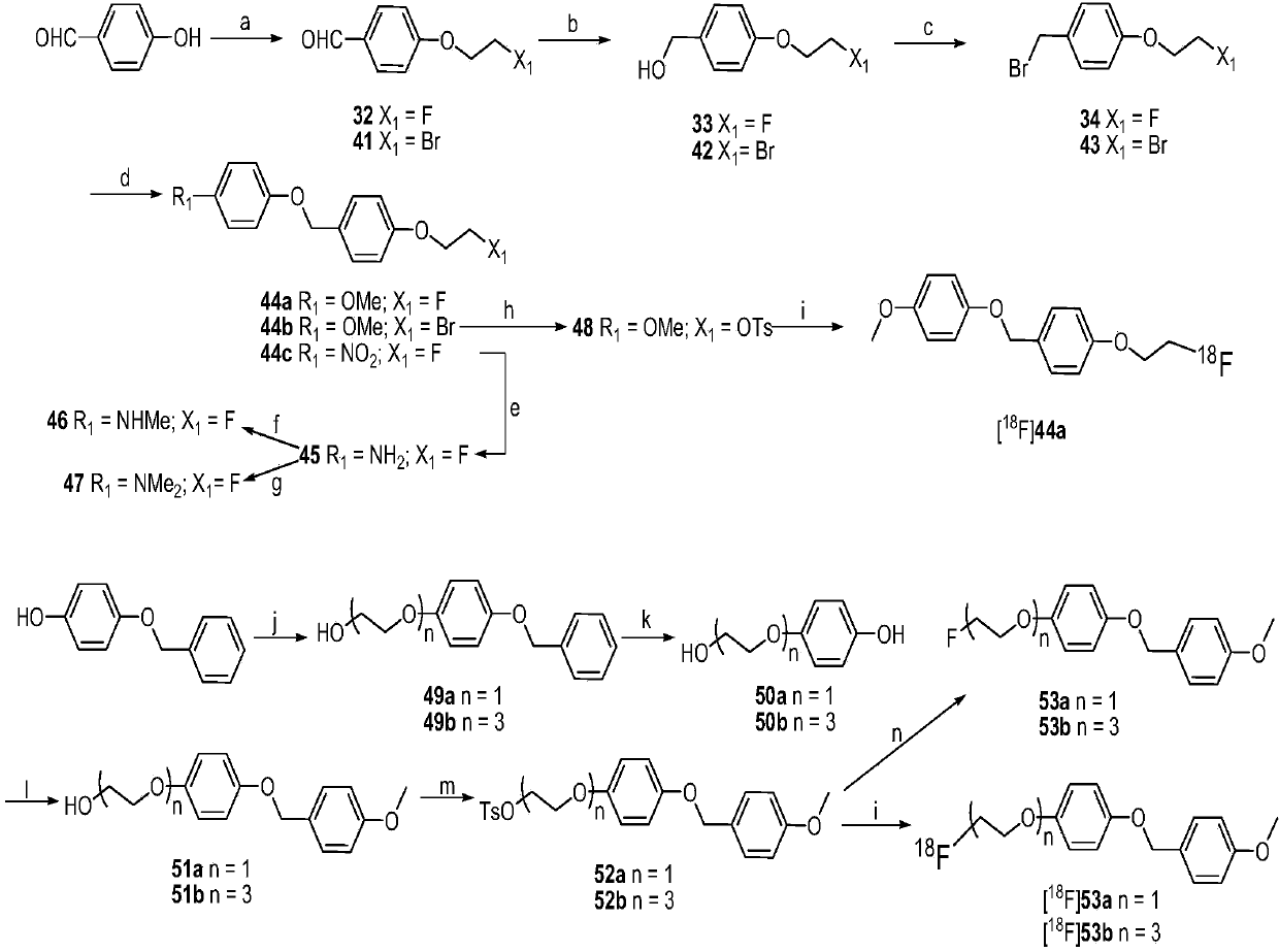 Hydroxyphenyl benzyl ether derivative as well as preparation method and application thereof