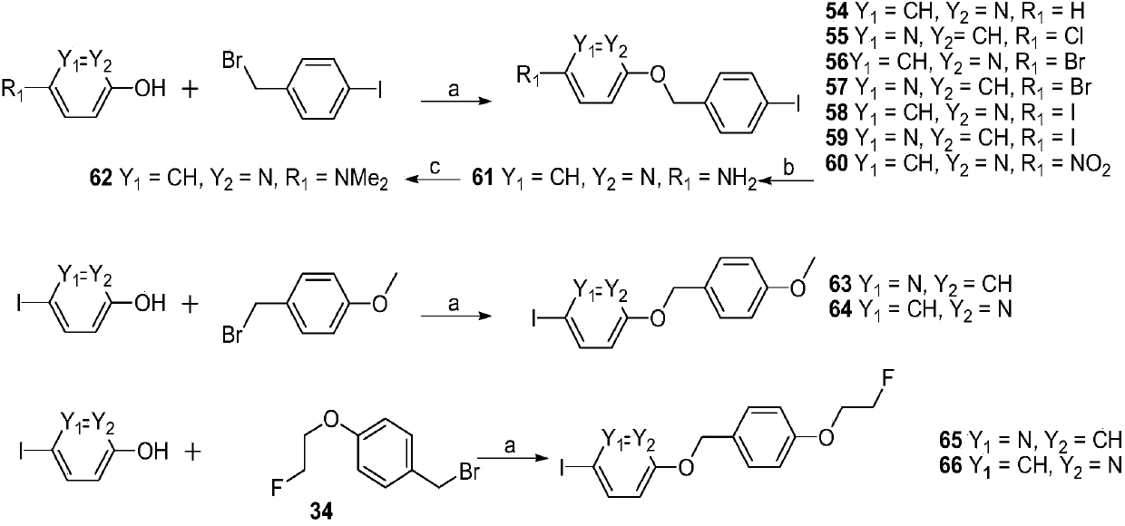 Hydroxyphenyl benzyl ether derivative as well as preparation method and application thereof