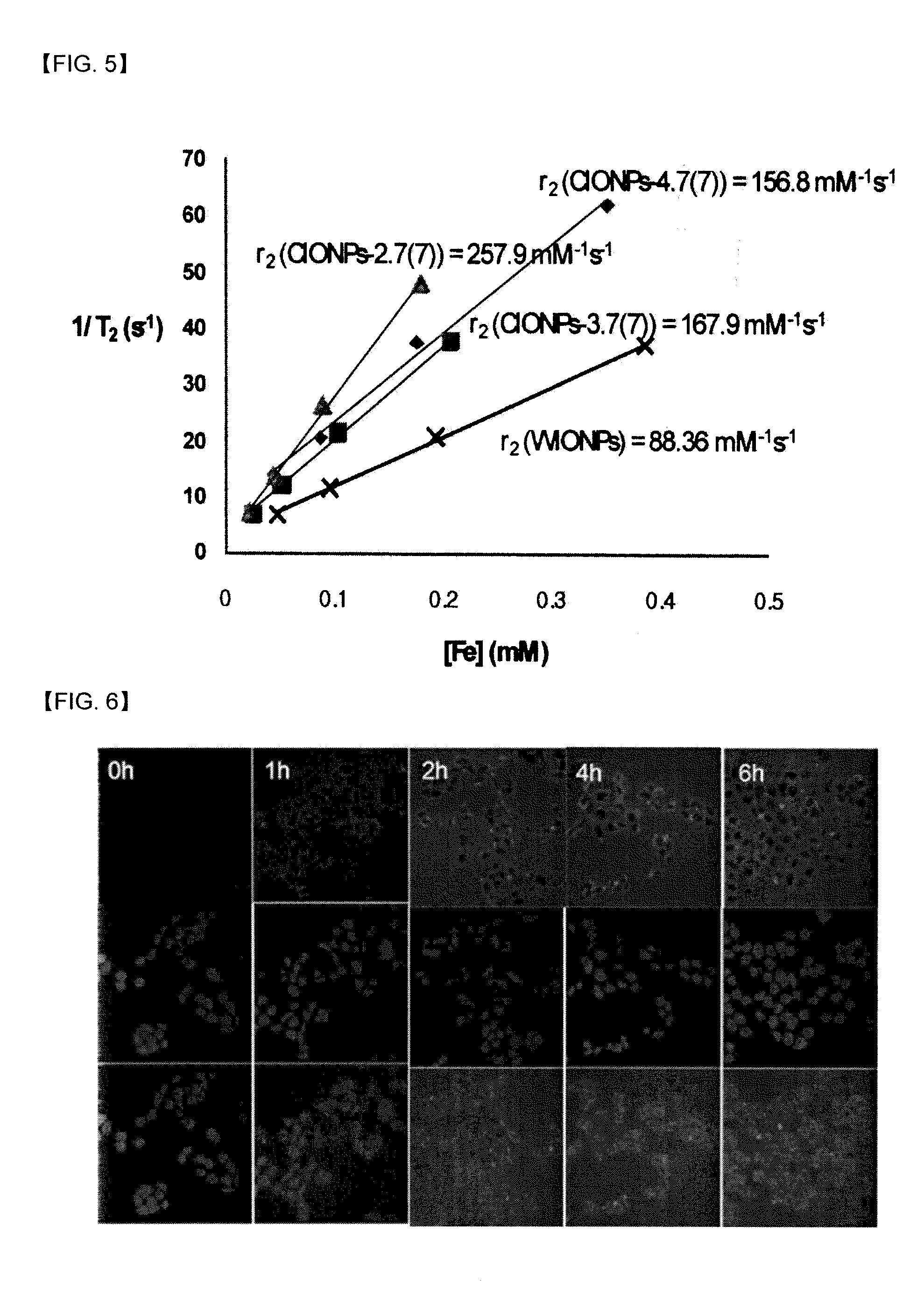 Iron oxide nanoparticles as MRI contrast agents and their preparing method
