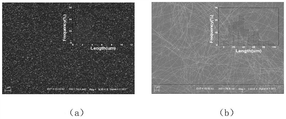 Method and special device for stirring induced centrifugal force-vertical filtration and purification of silver nanowire mother liquor