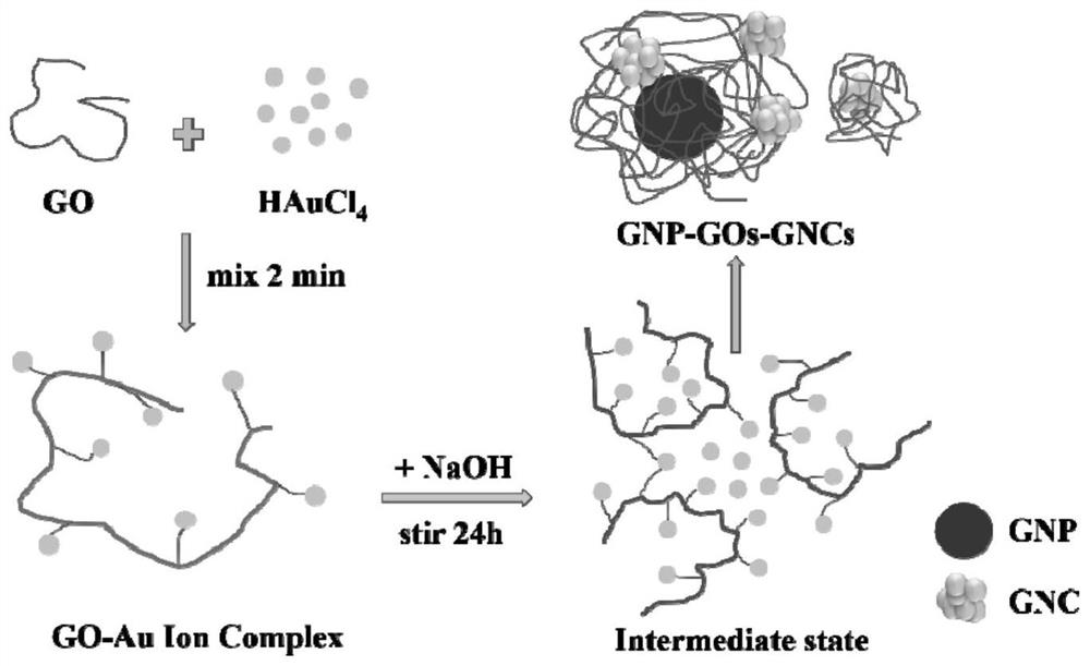 A kind of gold nanoparticle-gold nanocluster composite material and its preparation method and application