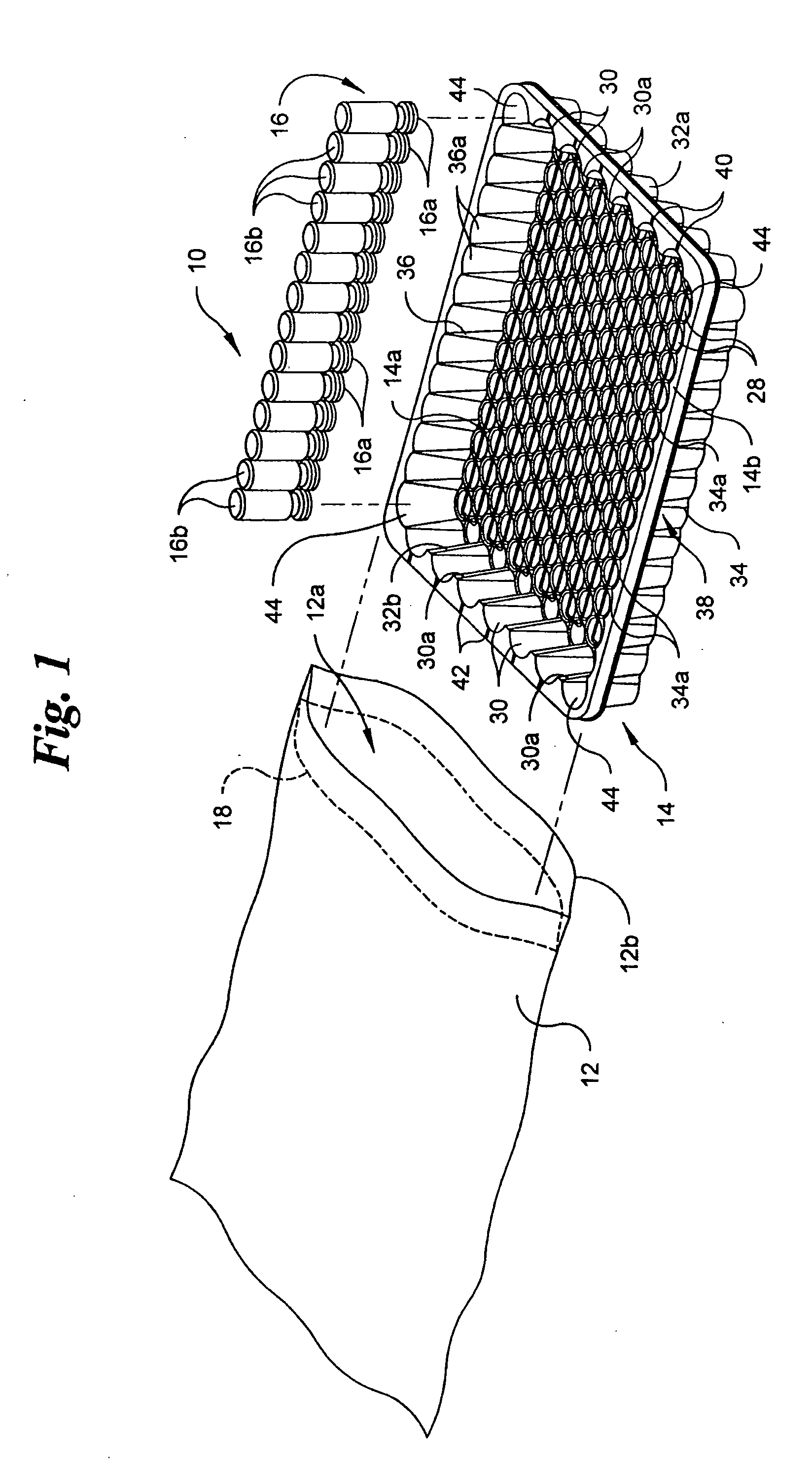 Vacuum package system and method
