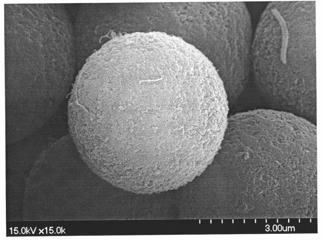 Method for preparation of composite chromatographic stuffing of polymer carbon nanometer tube