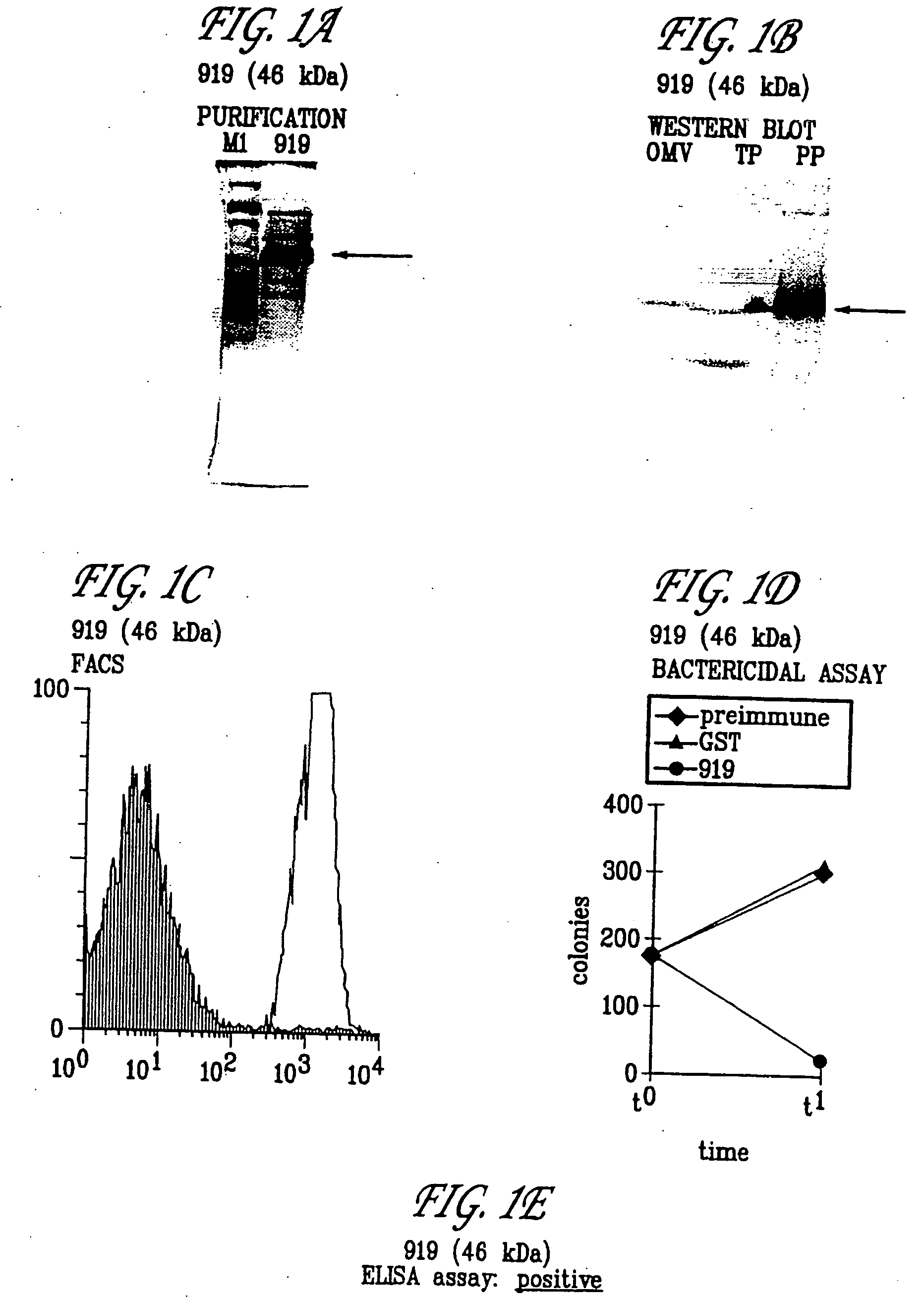 Neisseria genomic sequences and methods of their use