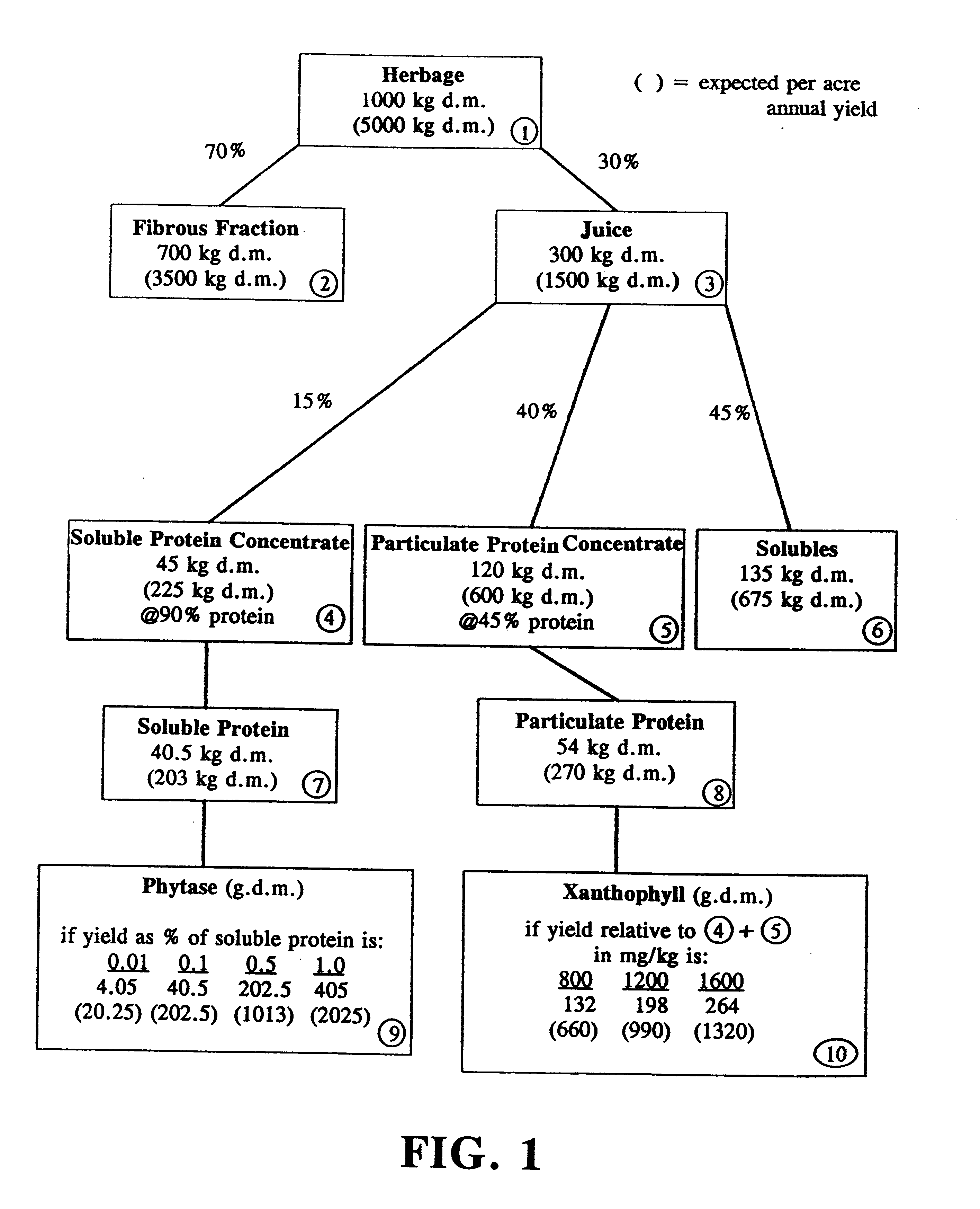 Animal feed compositions containing phytase derived from transgenic alfalfa and methods of use thereof