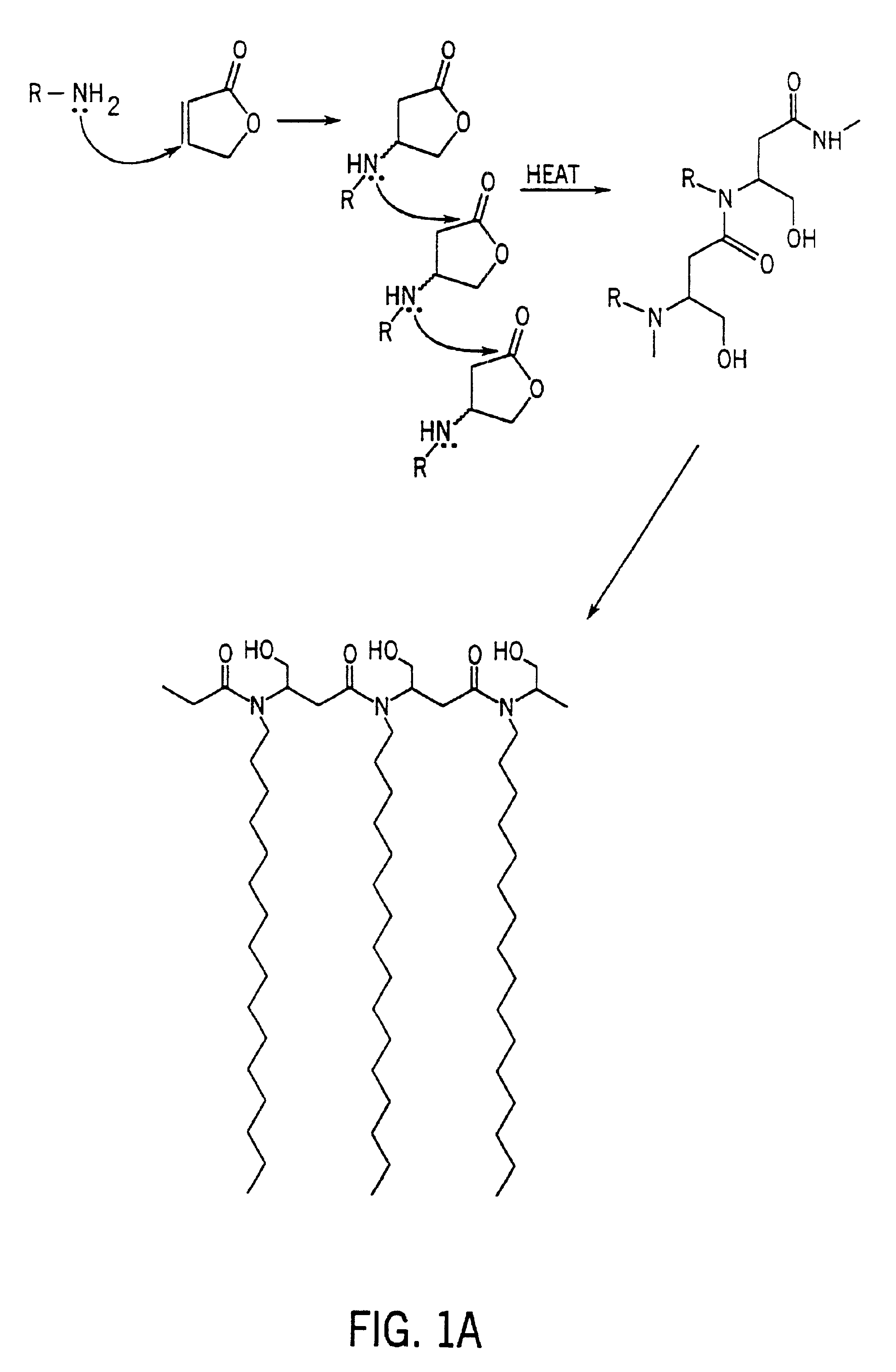 Antimicrobial polymer
