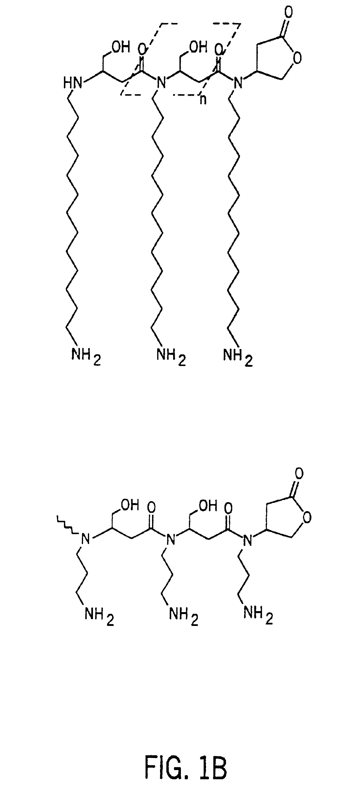 Antimicrobial polymer