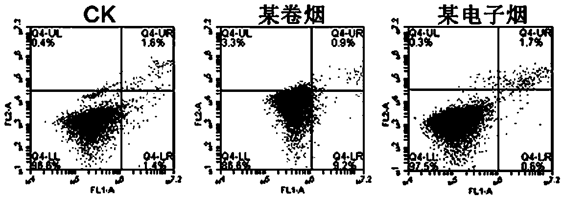 Method for testing induction of tobacco products on vascular endothelial cell apoptosis