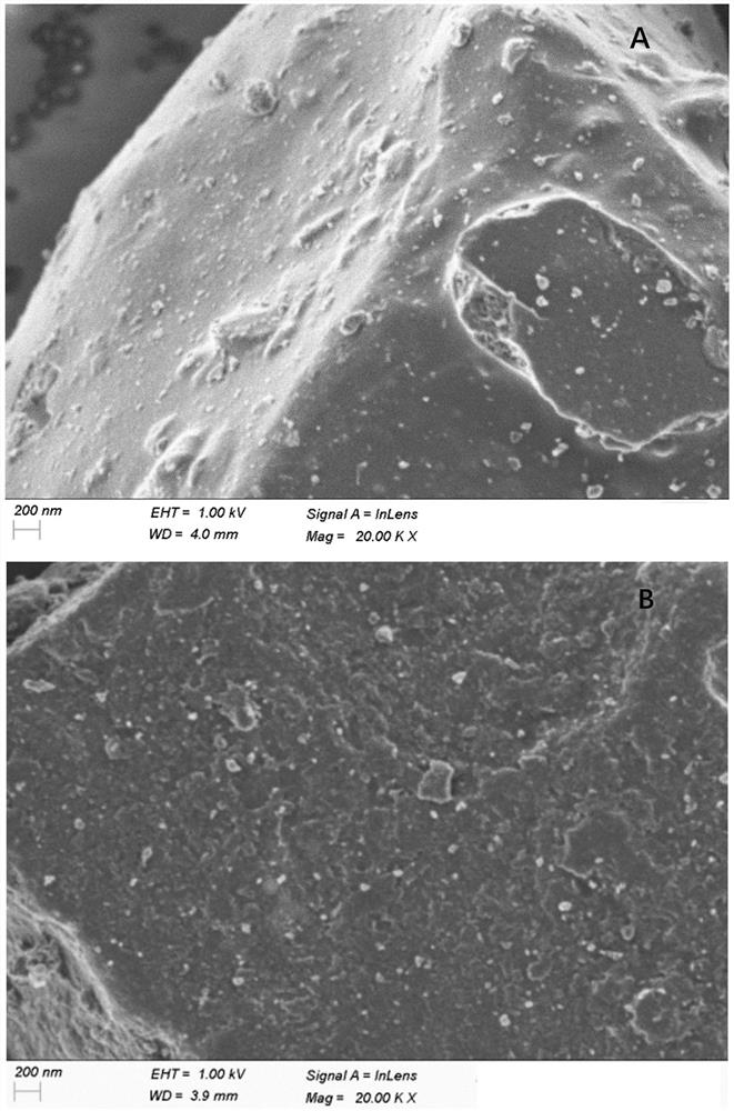 Silicon carbon negative electrode material and its preparation method, application and prepared lithium ion battery