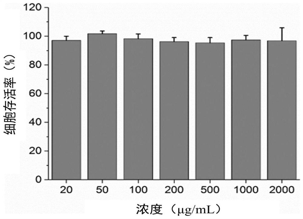 UCST type polymer with bacterium targeting function as well as preparation method and application of UCST type polymer