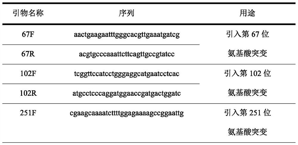 Catalase mutant and application thereof
