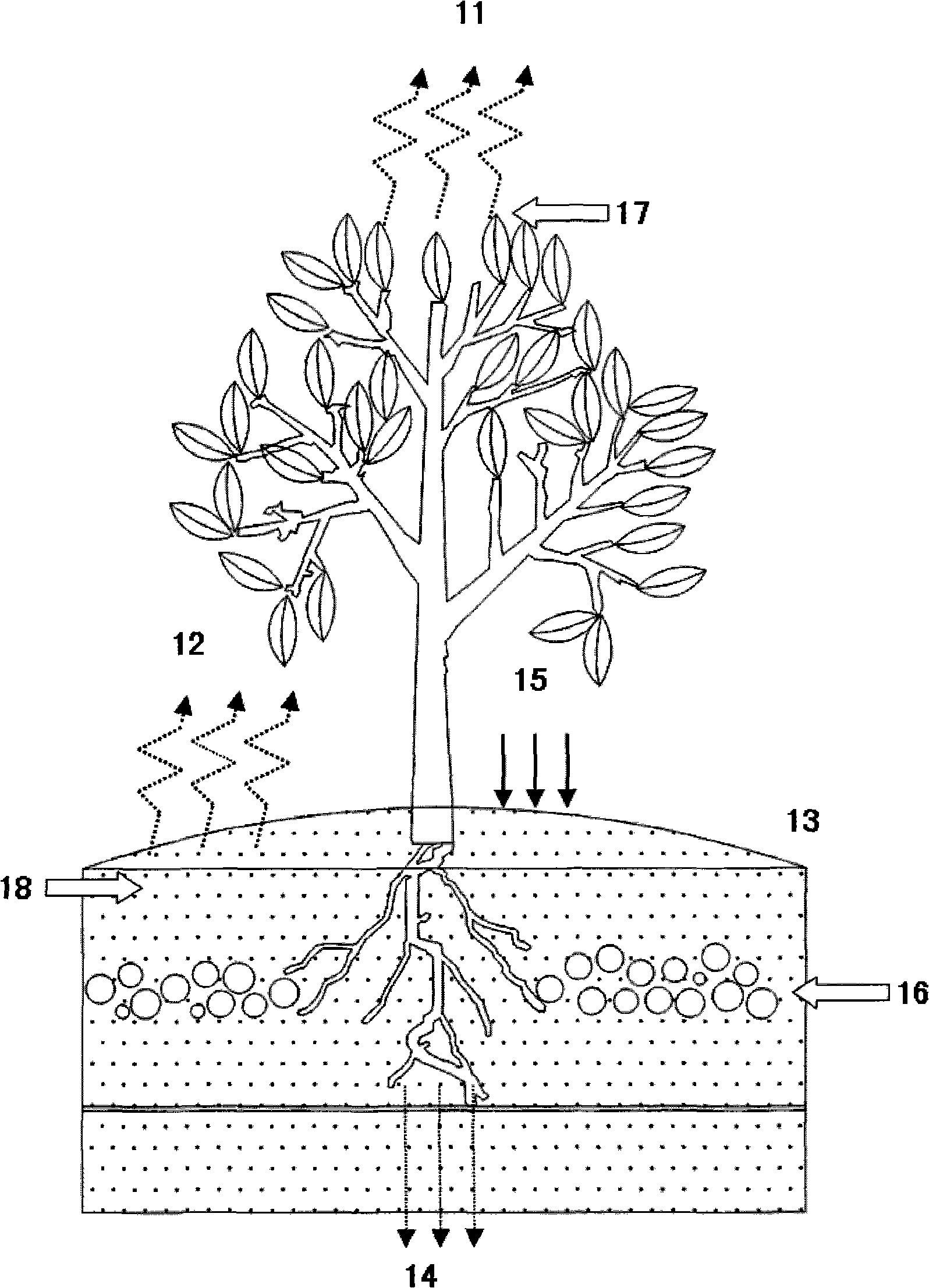 Overall water-saving regulating and controlling method for fruit tree and vegetable