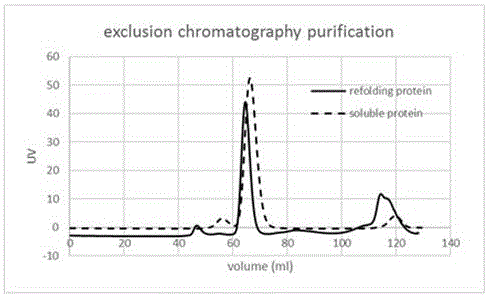 Purified renaturation method of L-aspartic acid oxidase inclusion bodies