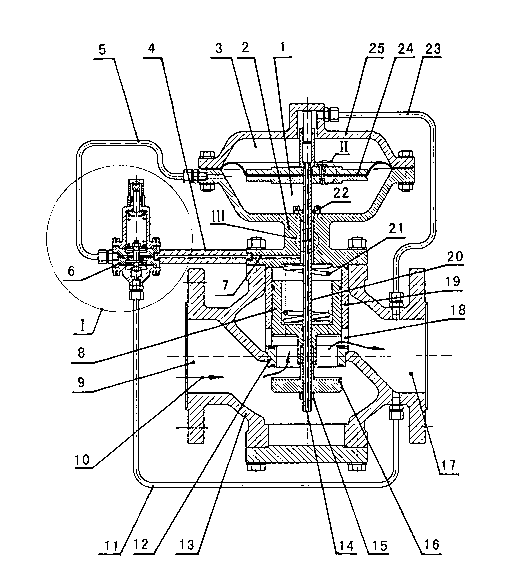 Pressure regulator with excessive flow auto-closing function by setting maximum flow