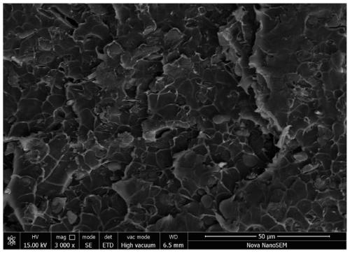 A surface sulfonated polyetheretherketone micro-nano particle/sulfonated polyetheretherketone composite film and its preparation method