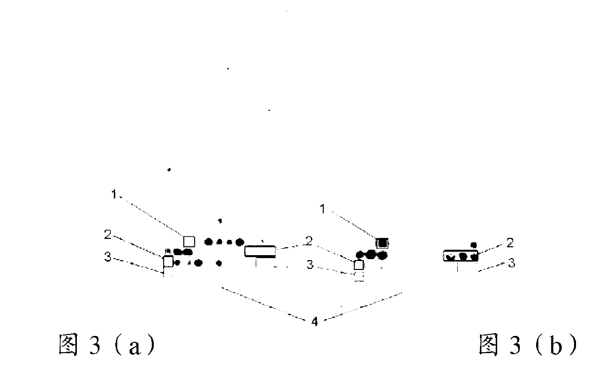 Sendai virus antigen peptide composition and application thereof in detecting Sendai virus infection