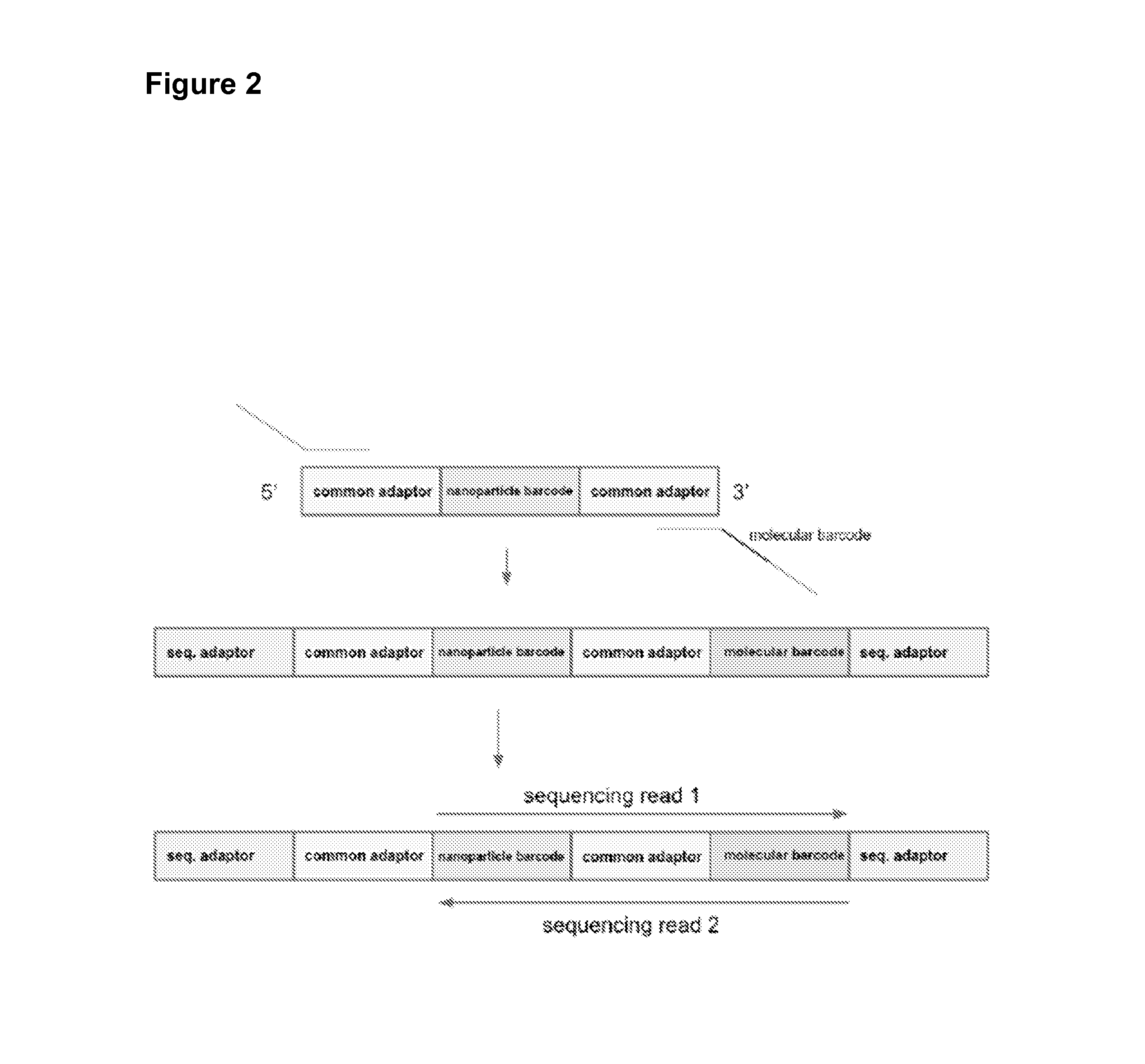 Methods of tagging particles for multiplexed functional screening