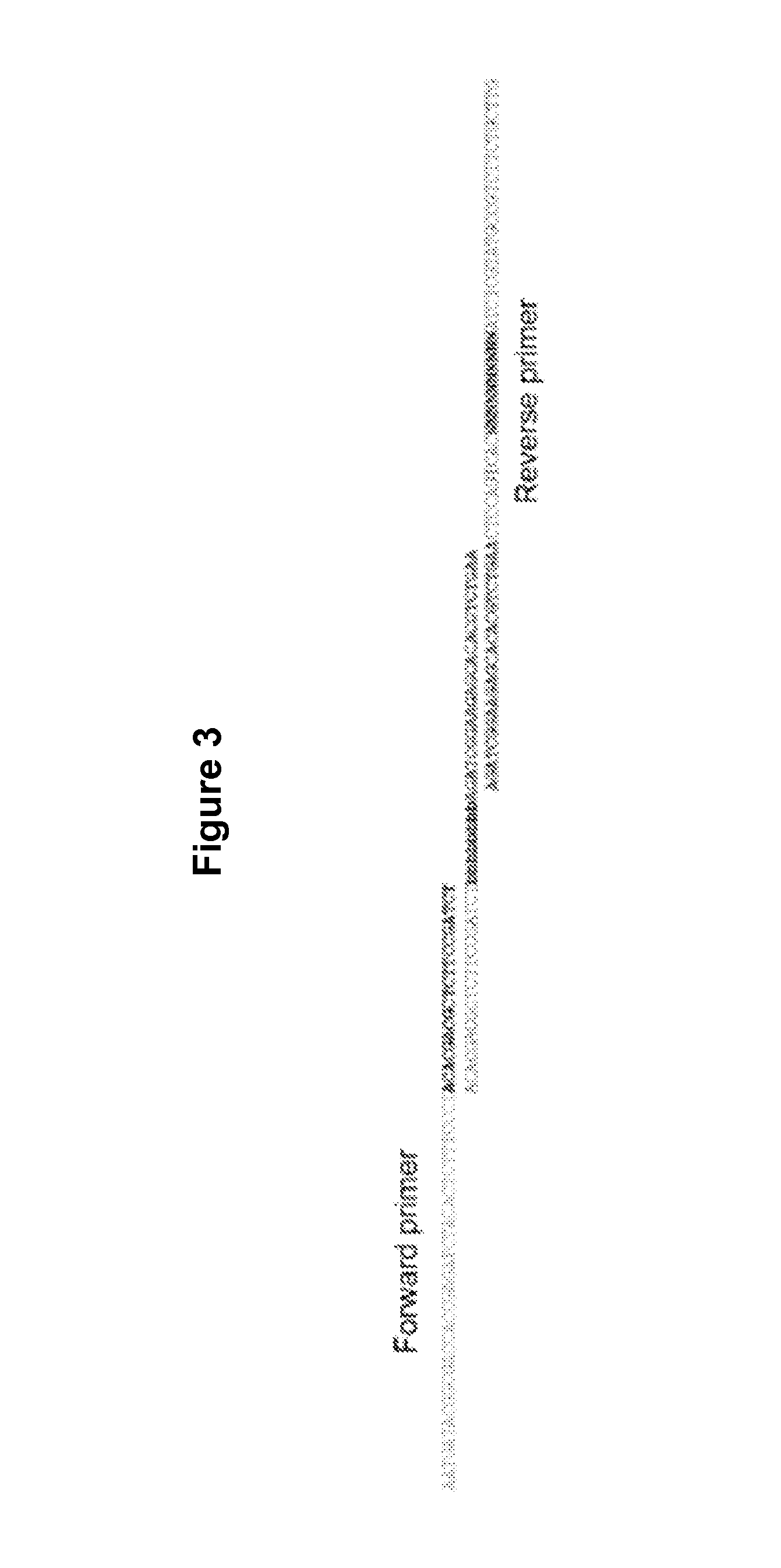 Methods of tagging particles for multiplexed functional screening