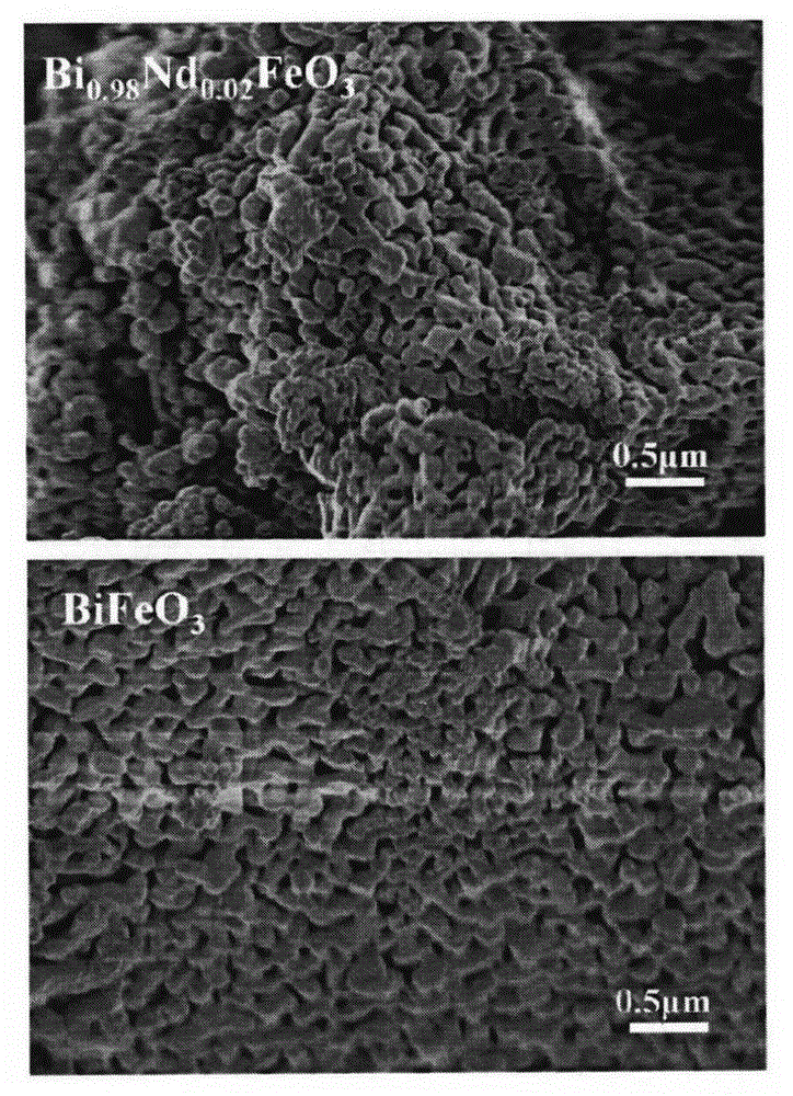 Neodymium-doped bismuth ferrite nanometer photocatalyst and preparation method thereof