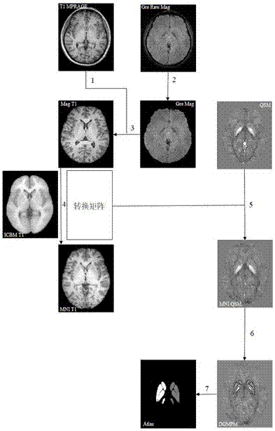 Human brain gray matter nucleus probability map construction method based on quantitative magnetic susceptibility imaging