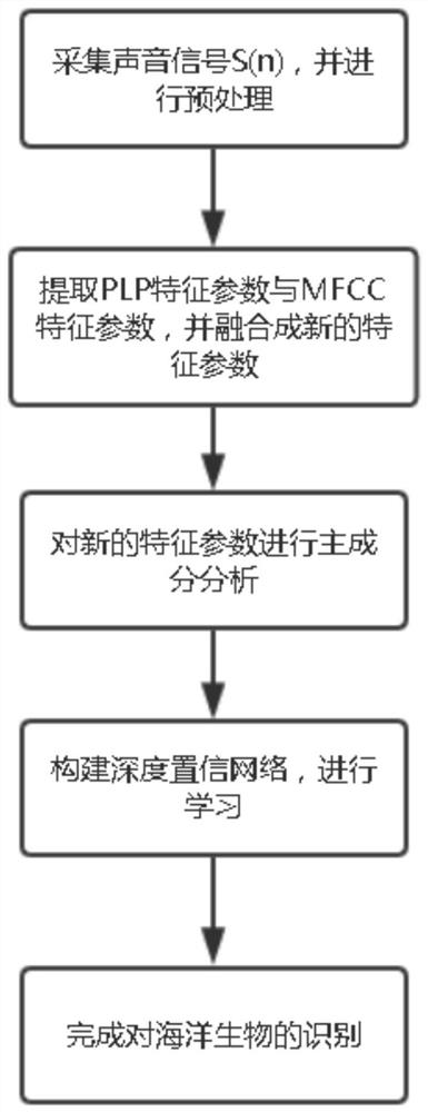 A Marine Biometrics Recognition Method Based on Feature Fusion and Deep Belief Network