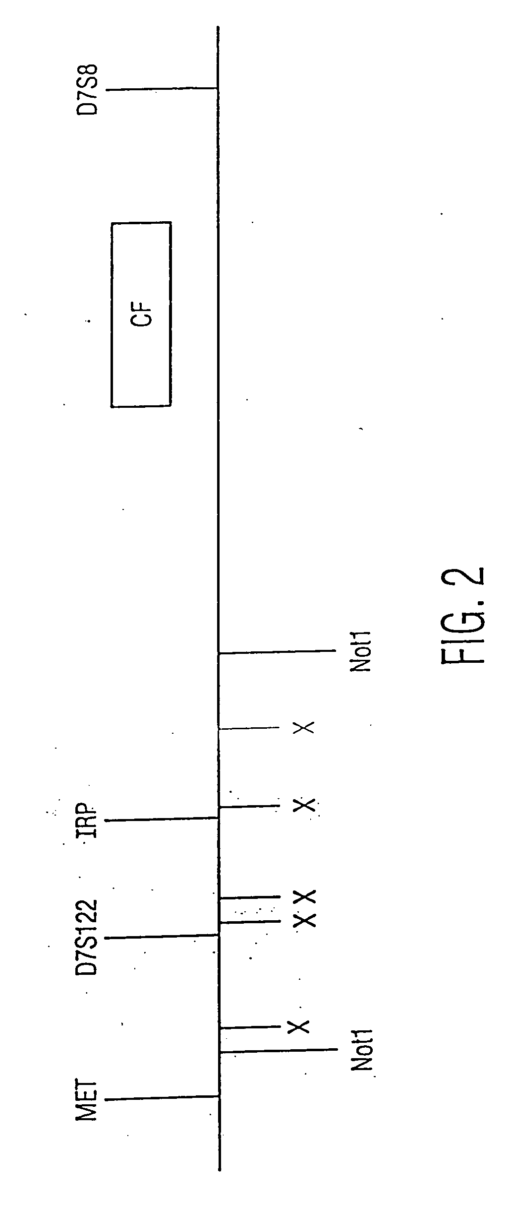 Determination of the number of tandem repeat nucleotides using encoded probe-displaying beads