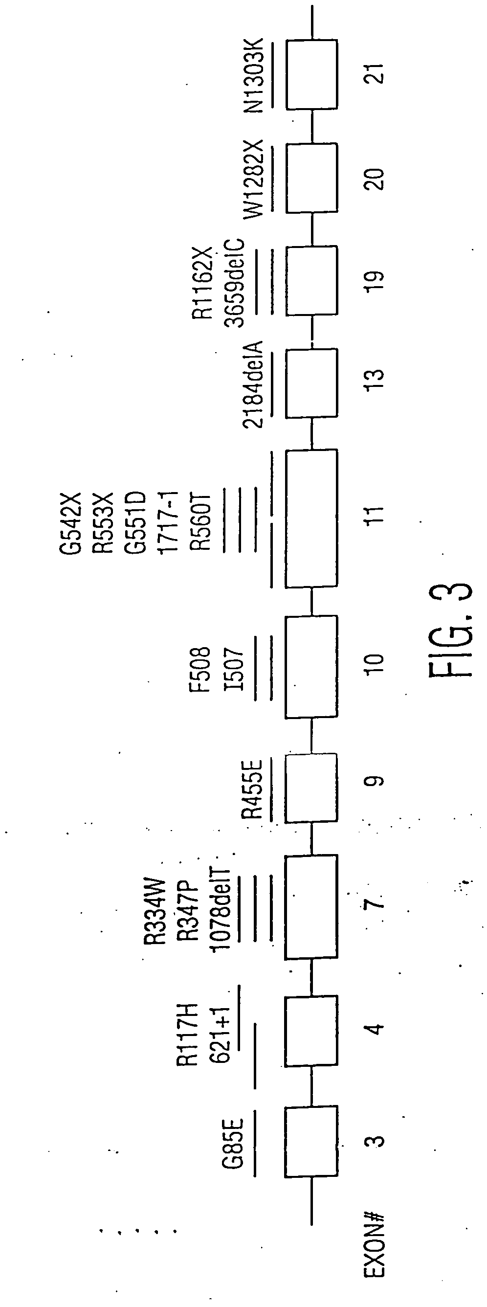 Determination of the number of tandem repeat nucleotides using encoded probe-displaying beads